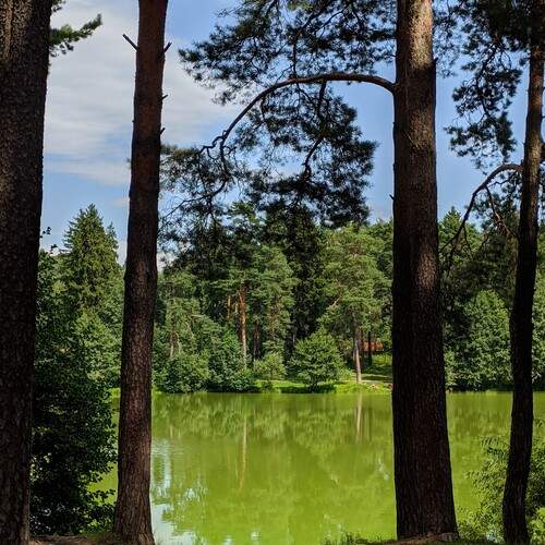 Photo #13183189