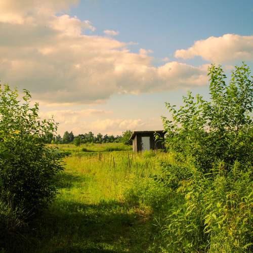 Photo #13183195