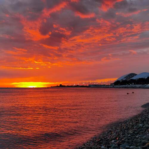 Photo #13183274