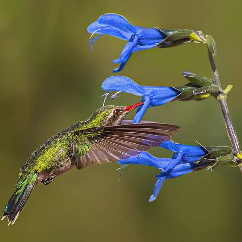 Фотография #13183327