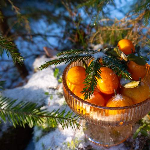 Photo #13183583