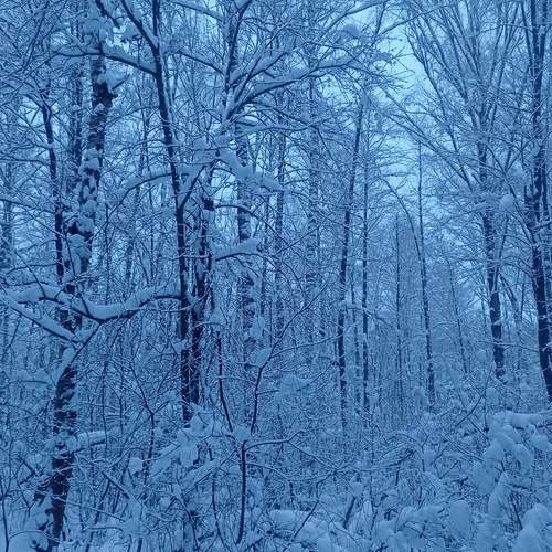 Photo #13183721