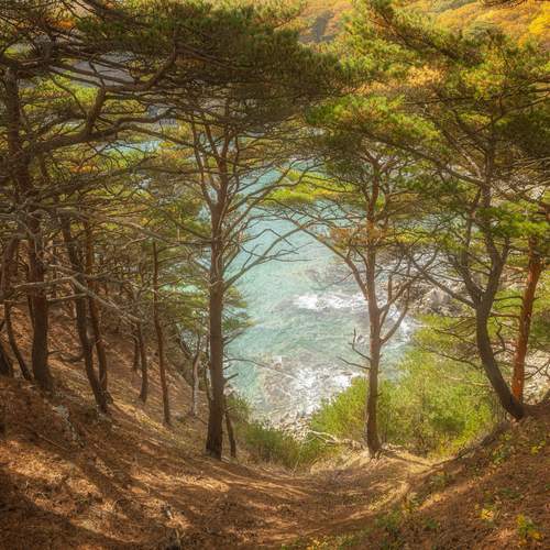 Photo #13183745