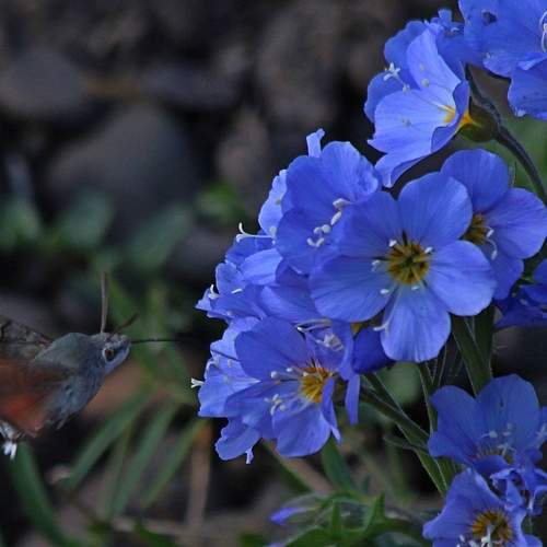 Фотография #13183770