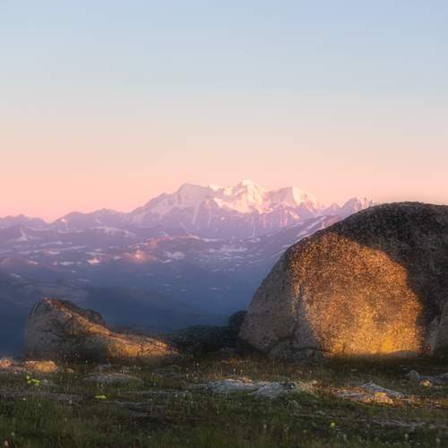 Photo #13183797