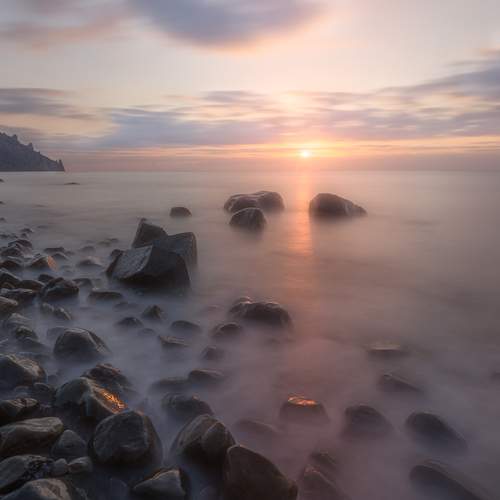Photo #13183810