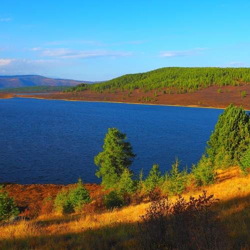 Фотография #13183833