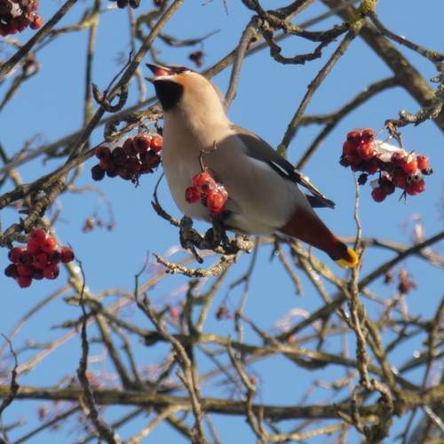 Photo #13183844
