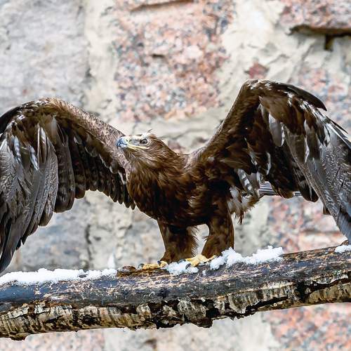 Фотография #13183909