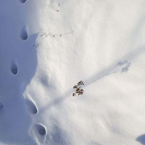 Photo #13183959