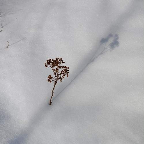 Photo #13183984