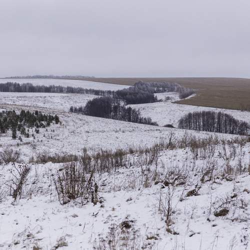 Photo #13183998