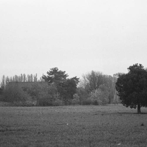 Photo #13184058