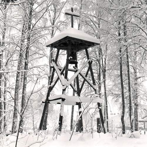 Photo #13184119