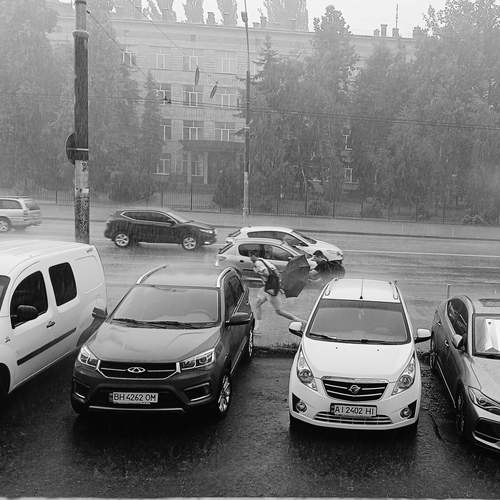 Photo #13184242