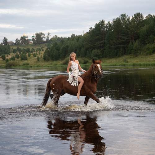 Photo #13184247