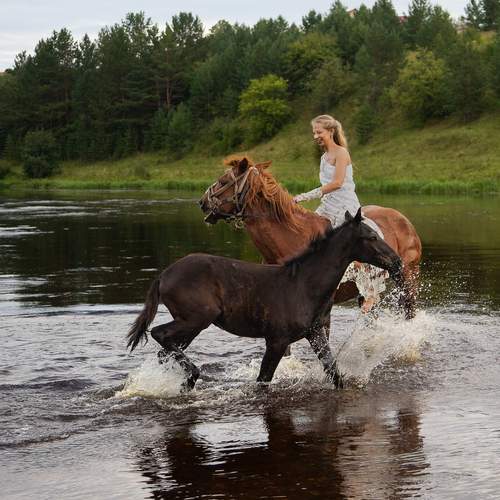 Photo #13184279