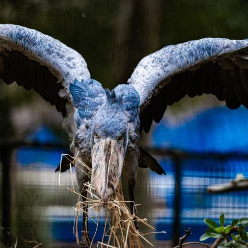 Фотография #13184393