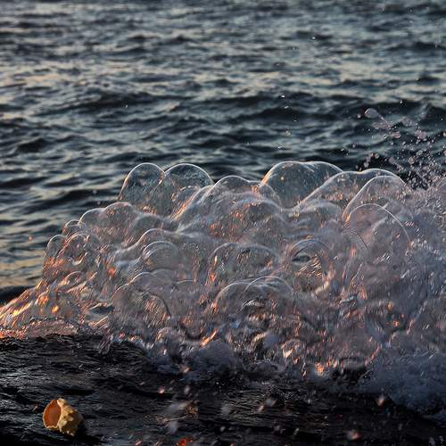 Photo #13184494