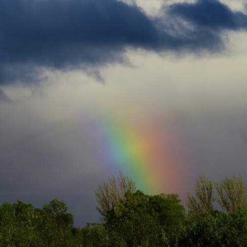 Photo #13184495