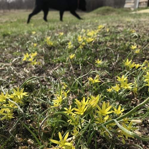Photo #13184536