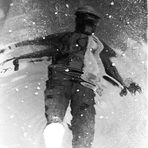 Photo #13184559