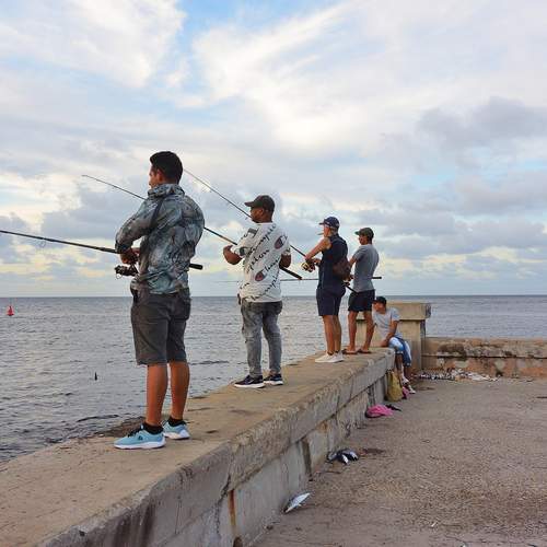Photo #13184748