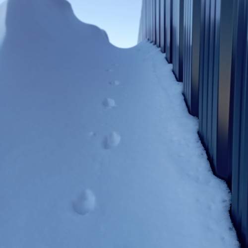 Photo #13184782