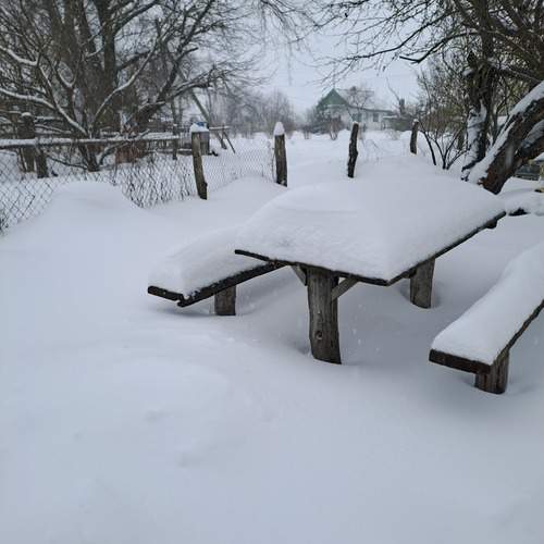 Photo #13184905