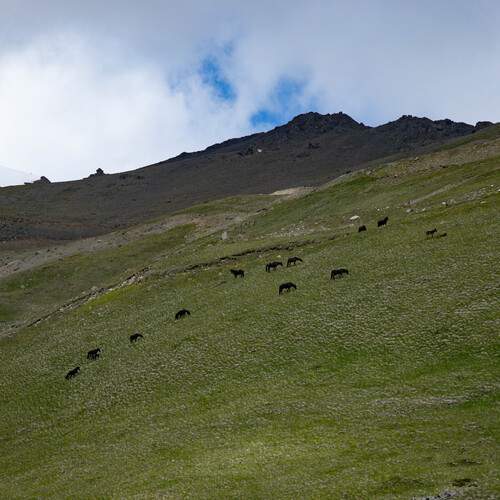 Photo #13185312