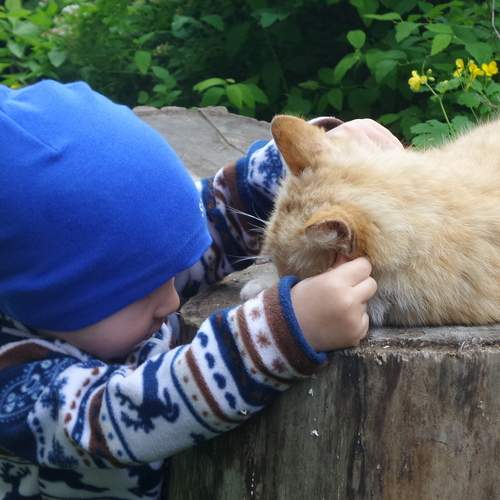 Photo #13185410