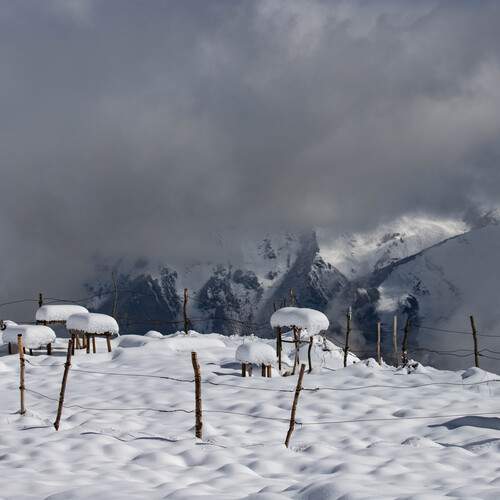 Photo #13185415