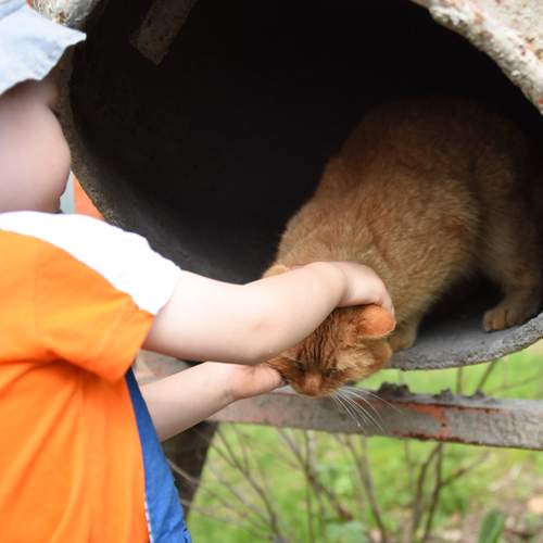 Photo #13185417