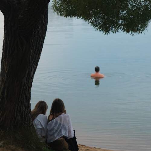 Photo #13185456