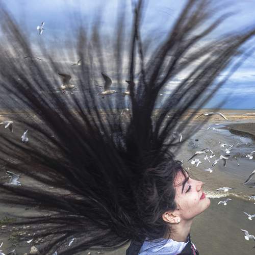 Photo #13185646