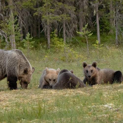 Photo #13185695