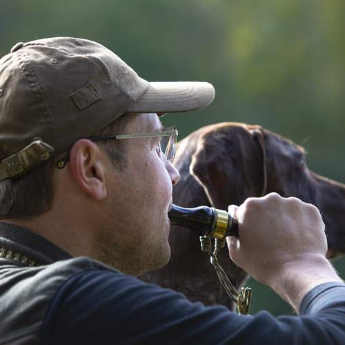 Photo #13185708