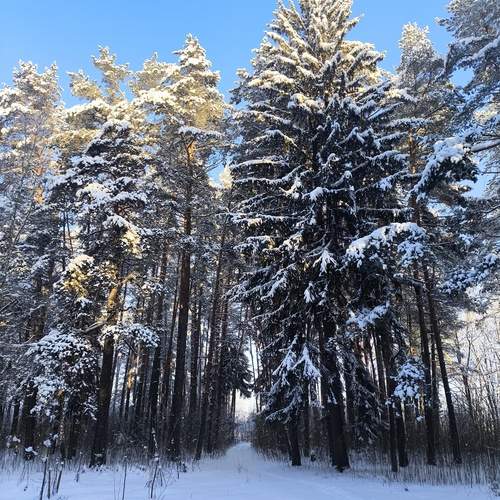 Photo #13185791
