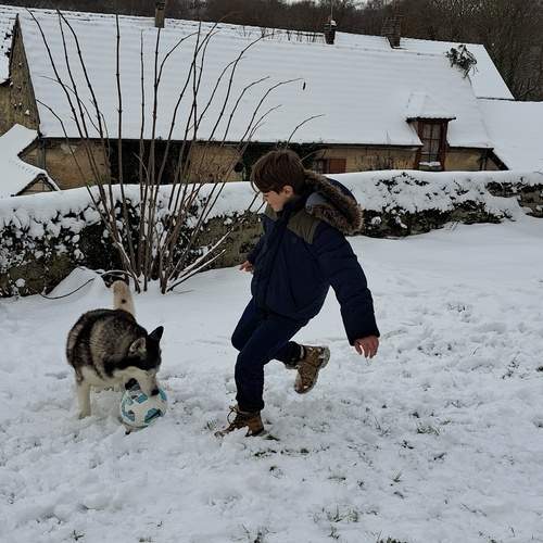Photo #13185794