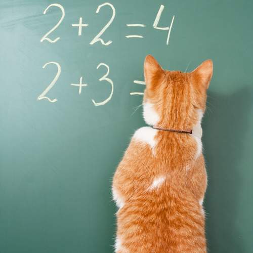Photo #13185804