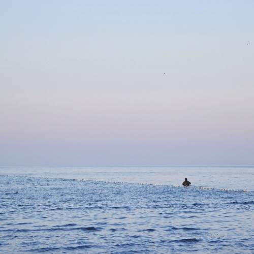 Photo #13185893