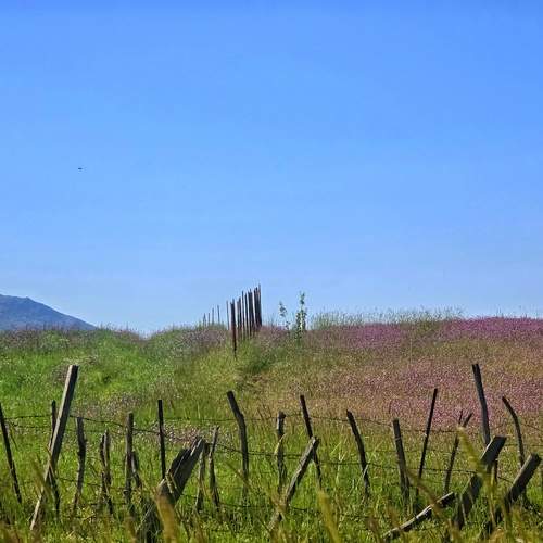 Photo #13185955