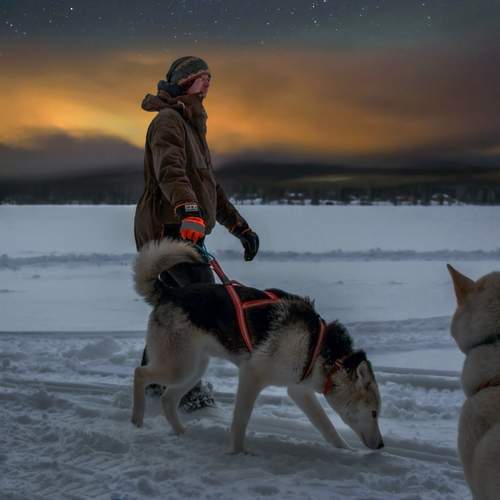 Photo #13186071