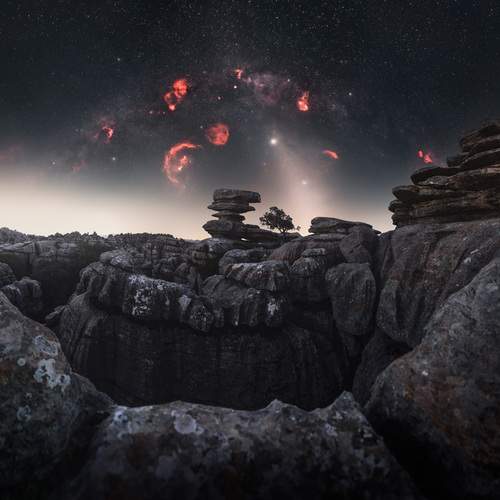 Фотография #13186133