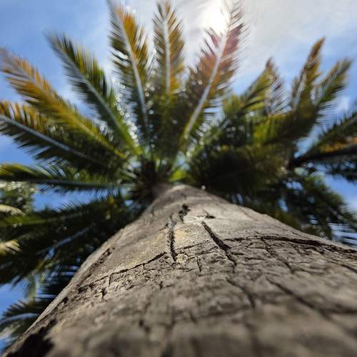 Photo #13186313