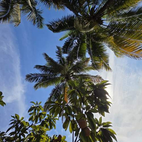 Photo #13186315