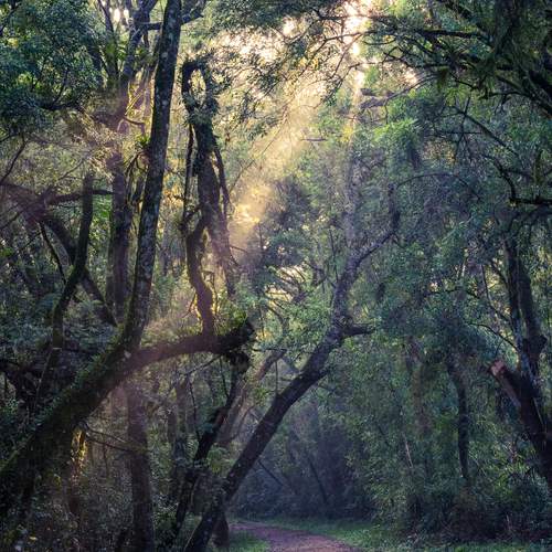 Photo #13186332