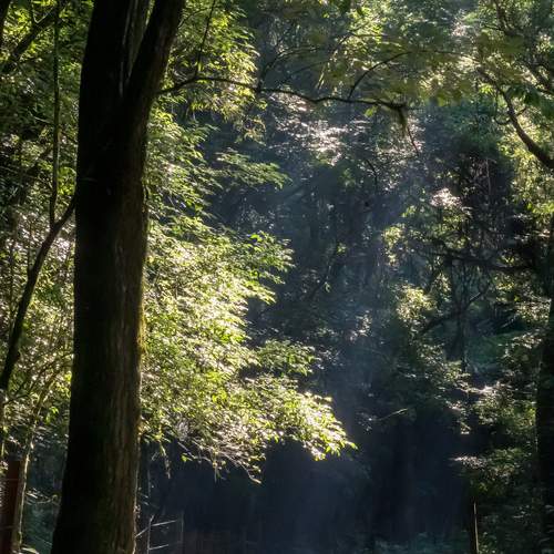 Photo #13186334