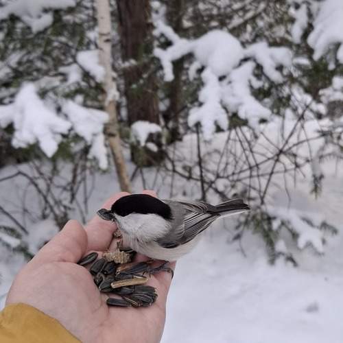 Photo #13186474
