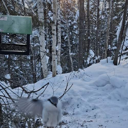 Photo #13186487